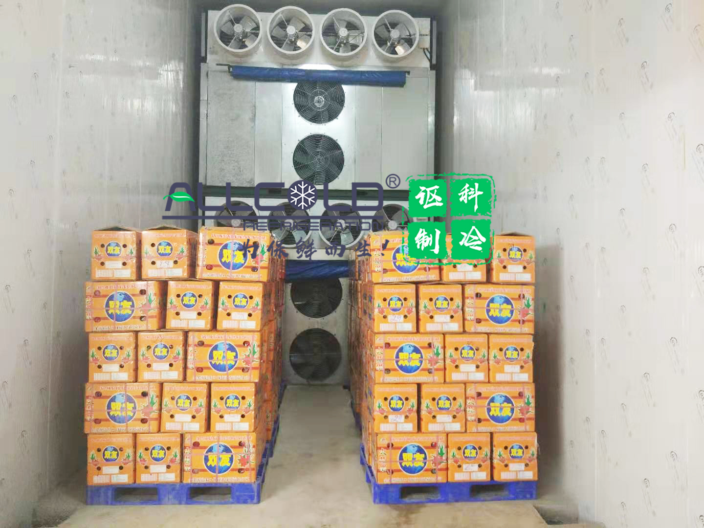 壓差預(yù)冷催熟一體庫